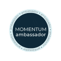 Momentumjewelry Sticker by Park and Preston Travel