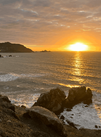 thadrice giphygifmaker giphyattribution GIF