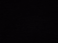 Skateboard Fishing GIF by Ghost Ship Supply