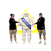 Michelin  Sticker