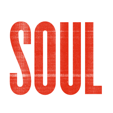 leebrice music country music country soul Sticker