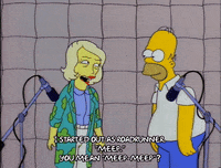 homer simpson GIF