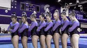Warriors Gymnastics GIF by WinonaStateATH