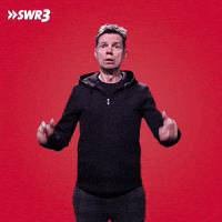 Shocked Oh No GIF by SWR3