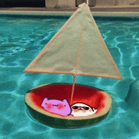 Boat Tango GIF