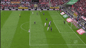 simon terodde celebration GIF by 1. FC Köln