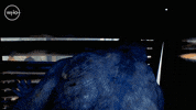 GIF by Doctor Who