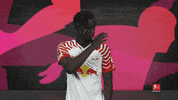 Rb Leipzig Praise GIF by Bundesliga