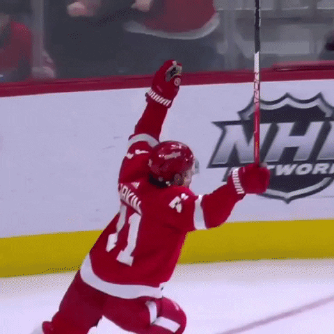 ballysportsdetroit celebrate goal hockey lets go GIF