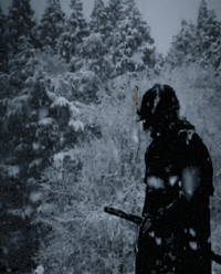 Shadowed_Earth snow winter japan dark GIF