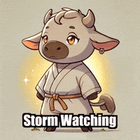 Summer Thunderstorm GIF by Masterfurdinand