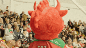 Ice Hockey GIF by Cardiff Devils