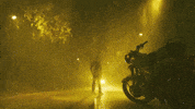 Kaaki Sattai Sk GIF