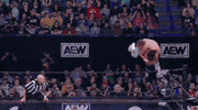 Hangman Adam Page Wrestling GIF by AEWonTV