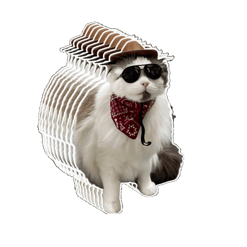 Ragdoll Cat Sticker by Rega Marketing
