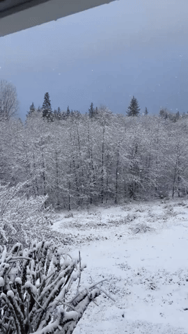 Light Snow Falls on Snohomish County