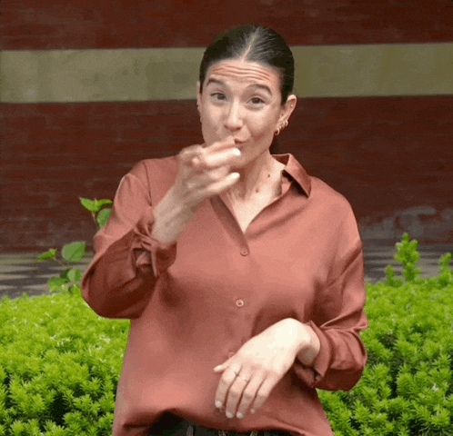 Asl Working GIF