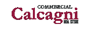 Calcagnire Sticker by Calcagni Real Estate