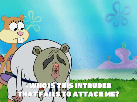 season 8 bubble troubles GIF by SpongeBob SquarePants