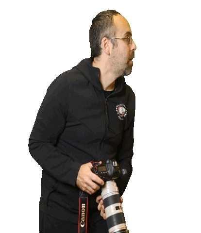 Photography Looking Around Sticker by Storvreta IBK