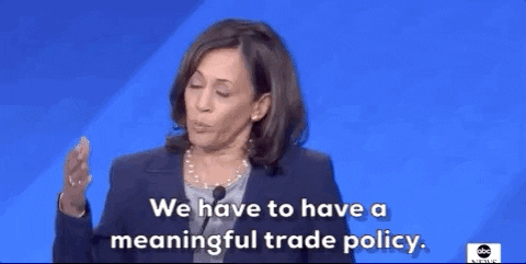 Democratic Debate We Have To Have A Meaningful Trade Policy GIF by GIPHY News