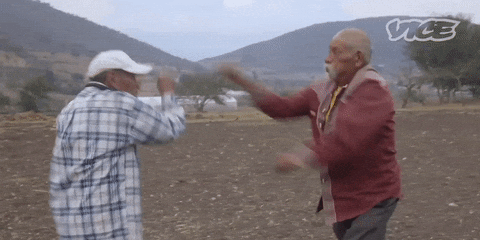 Fight Fuck You GIF by VICE España