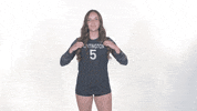 Huntington University Hu Volleyball GIF by FDN Sports
