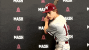 Baseball Win GIF by MASH Athletics