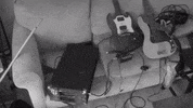 topshelf records prawn GIF