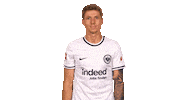 Eintracht Frankfurt Yes Sticker by Bundesliga