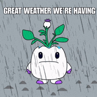 Sad Rainy Day GIF by Magic Eden