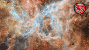 Universe Cosmos GIF by ESA/Hubble Space Telescope