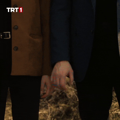Tolga Saritas Love GIF by TRT
