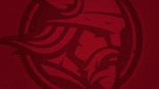 Minnesota Vikings University GIF by Bethany Lutheran College