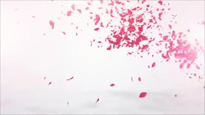 petals GIF