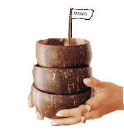 MAWRIFOODANDMORE breakfast healthybreakfast coconutbowls mawri Sticker