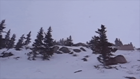 emaulbesch giphygifmaker ski crash arapahoe basin GIF
