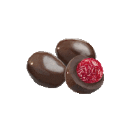 chocolateslacasa chocolate lacasa frutossecos alegrate Sticker