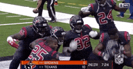 2018 Nfl Football GIF by NFL