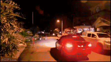 firework GIF