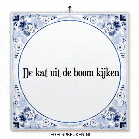 Nl Wijsheid GIF by Tegelspreuken.nl