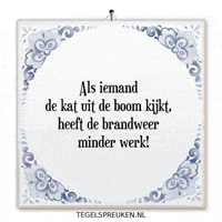 Teamwork Wijsheid GIF by Tegelspreuken.nl