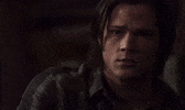 Engraçado GIF