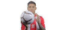 Fifa World Cup Sticker by Federación Puertorriqueña de Fútbol