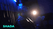 Something For You GIF by Kaysha