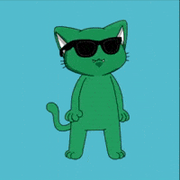 Cat Wink GIF by MEOW