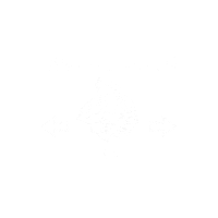 Futbol Americano Sticker by Linces UVM México