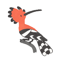 Bird Sticker