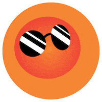 comespacovivo sunglasses espaco vivo espaçovivo Sticker