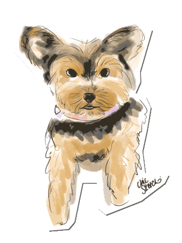 ChicSketch giphyupload girl fashion new post Sticker